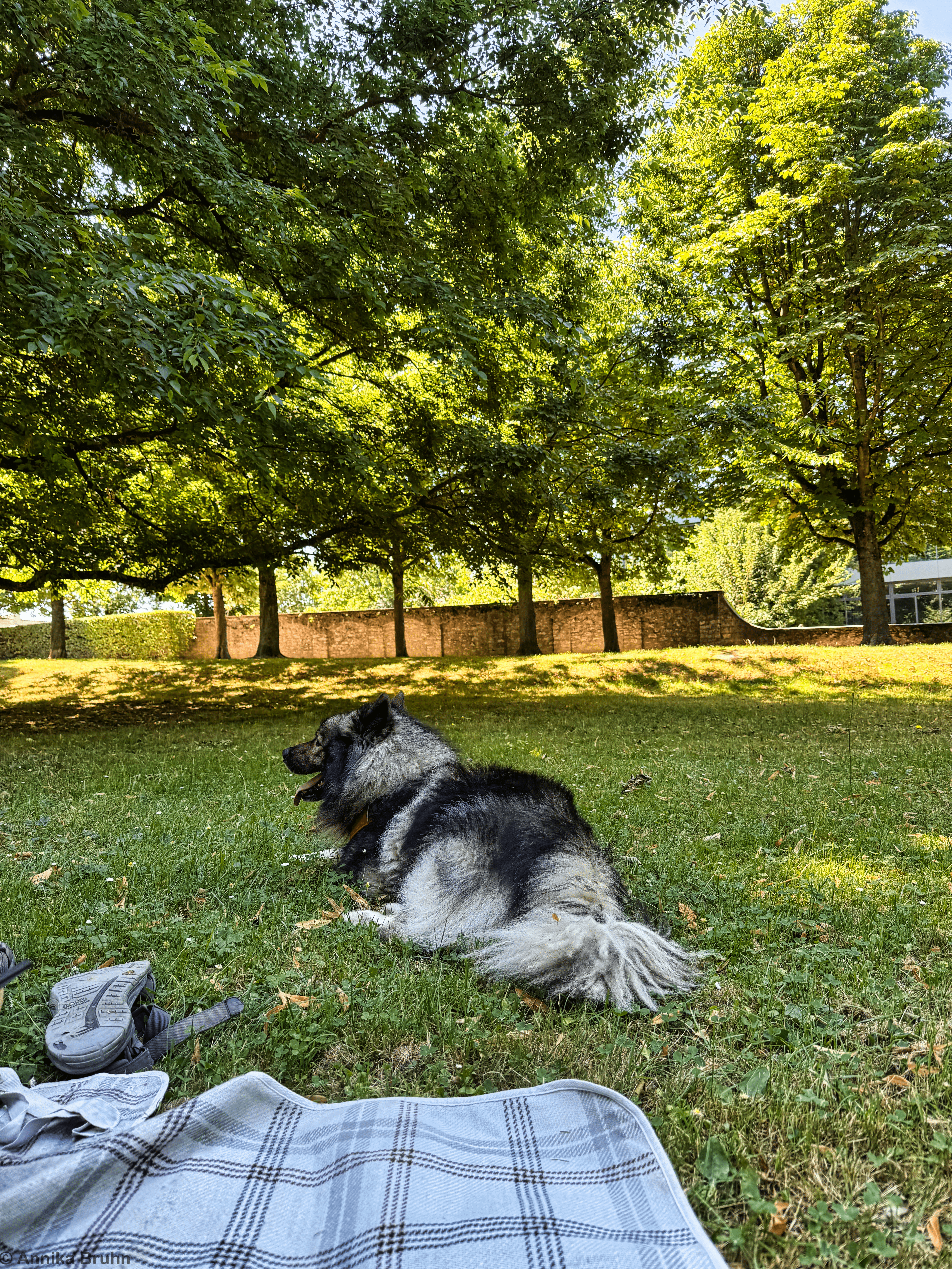 Q genießt die gemeinsame Zeit im Park
